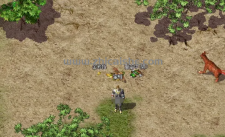 新百区爆率回调，新挂机地图收益爆表