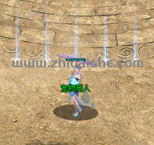 傲雪沉默，宠物强化图文展示